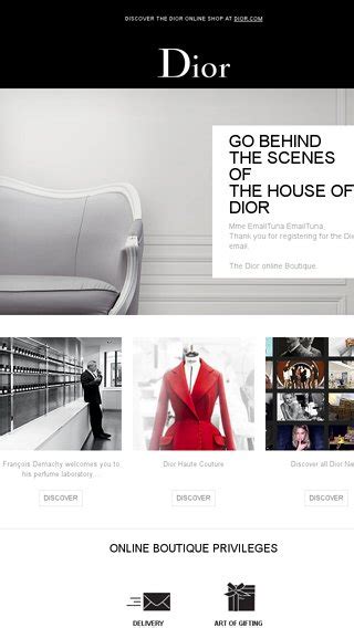 dior past emails|dior email adress.